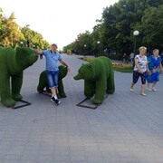 ���������� ���������, ���� ������� �����, 51 ���, ������������ ��� ������, ����� � ���������