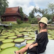 ���������� ������, ���� ������� Kris, 41 ���, ������������ ��� ����� � ���������, c�������� ���������