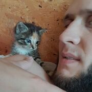 ���������� �����������, ���� ������� ���������, 28 ���, ������������ ��� ������, ����� � ���������, ���������