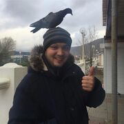  ,   , 31 ,   ,   , 