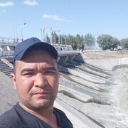 ���������� ����, ���� ������� ����, 43 ����, ������������ ��� ������, ����� � ���������