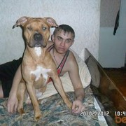 ���������� ��������, ���� ������� ���������, 36 ���, ������������ 