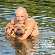 ���������� �����, ���� ������� ����, 44 ����, ������������ ��� c�������� ���������