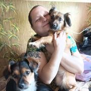 ���������� �����������, ���� ������� ����������, 37 ���, ������������ ��� ����� � ���������, c�������� ���������, ���������