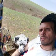 ���������� ��������, ���� ������� �������, 38 ���, ������������ ��� ������, ����� � ���������, c�������� ���������