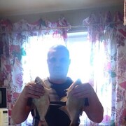 ���������� ������ �����, ���� ������� �������, 35 ���, ������������ ��� ������, ����� � ���������