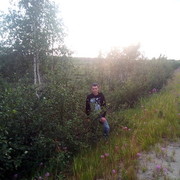 ���������� ���������, ���� ������� �����, 44 ����, ������������ ��� ������, ����� � ���������, c�������� ���������