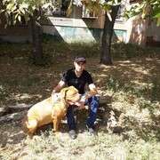 ���������� ������-��-����, ���� ������� �������, 38 ���, ������������ ��� ������, ����� � ���������, c�������� ���������, ���������