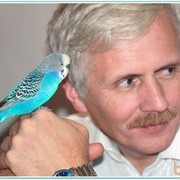 ���������� �������, ������� �����, 61