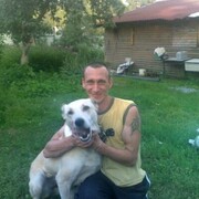 ���������� �����-���������, ���� ������� ��������, 47 ���, ������������ ��� c�������� ���������, ���������