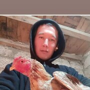  ,  , 33