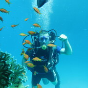 ���������� ���, ���� ������� �����, 37 ���, ������������ ��� ������, ����� � ���������