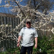 ���������� �������, ���� ������� ��������, 65 ���, ������������ ��� ������, ����� � ���������, c�������� ���������