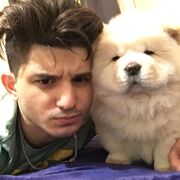 ���������� ������, ���� ������� �������, 26 ���, ������������ ��� ������, ����� � ���������, c�������� ���������, ���������