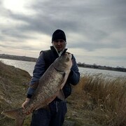 ���������� ������, ���� ������� Lexa, 36 ���, ������������ ��� ������, ����� � ���������, ���������