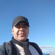  ,   Elman, 39 ,   ,   