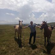 ���������� ����, ���� ������� ����, 42 ����, ������������ ��� ������, ����� � ���������, c�������� ���������