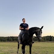 ���������� �����������, ���� ������� ��������, 31 ���, ������������ ��� ������, ����� � ���������