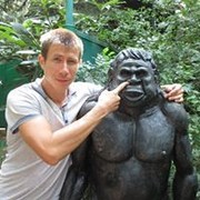  ,   , 43 ,   