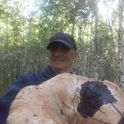 ���������� ����, ���� ������� Igor, 55 ���, ������������ ��� ������, ����� � ���������, c�������� ���������, ���������