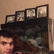 ���������� ����, ���� ������� ����, 32 ����, ������������ ��� ������, ����� � ���������, c�������� ���������