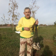  ,   , 62 ,     , c 