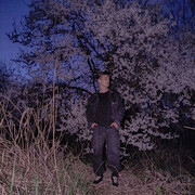 ���������� ������, ���� ����� ����, 20 ���, ������������ ��� ������, ����� � ���������