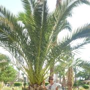 ���������� �����-���������, ���� ������� ���������, 47 ���, ������������ ��� ������, ����� � ���������, c�������� ���������