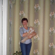 -,   , 54 ,   ,   , c 