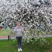  ,   , 62 ,   ,   , c 
