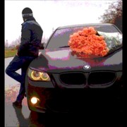 ���������� ���������, ���� ������� ����������, 38 ���, ������������ ��� ������, ����� � ���������, c�������� ���������