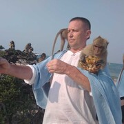 ���������� ������, ���� ������� �������, 50 ���, ������������ ��� ������, ����� � ���������, c�������� ���������