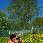 ���������� ������, ���� ������� �������, 60 ���, ������������ ��� ������, ����� � ���������, c�������� ���������