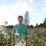 ���������� �����, ���� ������� ������, 62 ����, ������������ ��� ����� � ���������, c�������� ���������