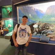 ���������� ��������, ���� ������� �������, 48 ���, ������������ ��� ������, ����� � ���������, c�������� ���������, ���������