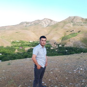  ,   Temur, 29 ,   ,   , c 