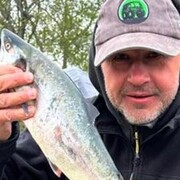  ,   Alexey, 49 ,     , c , 