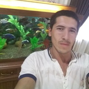  ,   , 37 ,   