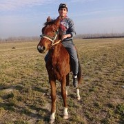  ,   KHABIB, 31 ,   ,   , c 