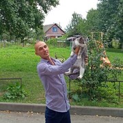 ���������� �����, ���� ������� Max, 35 ���, ������������ ��� c�������� ���������