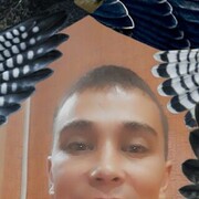   ,  , 41