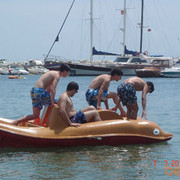 ���������� �������, ���� ������� Gevor, 30 ���, ������������ ��� ������, ����� � ���������, c�������� ���������