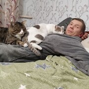  ,   , 44 ,     , c 