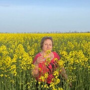   ,   , 60 ,   ,   