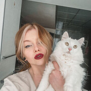 ���������� �������, ���� ������� ����, 29 ���, ������������ ��� ����� � ���������, c�������� ���������