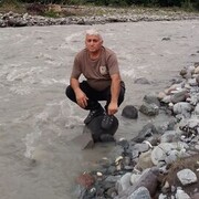  ,   , 55 ,     , c , 