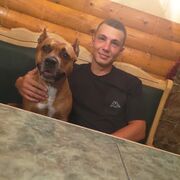 ���������� ������, ���� ������� Alexander, 29 ���, ������������ ��� ������, ����� � ���������