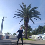  ,   , 37 ,   ,   