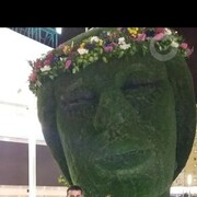  ,   , 51 ,   ,   