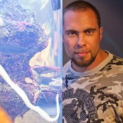 ���������� ������, ���� ������� ������, 46 ���, ������������ ��� ����� � ���������, c�������� ���������